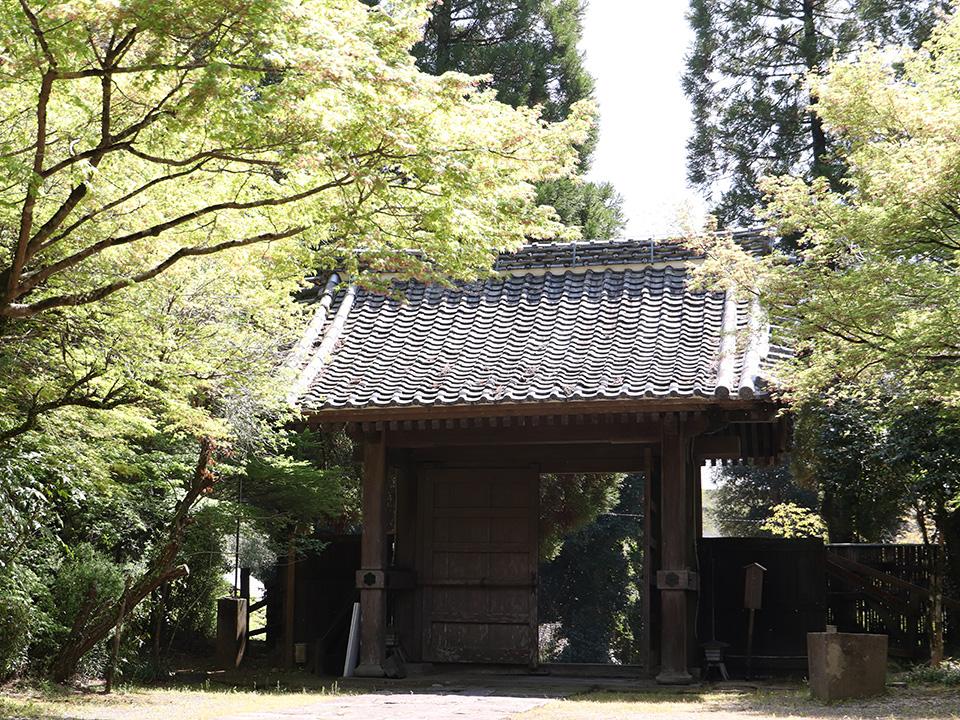 細川護光 - 天平堂（TENPYODO）