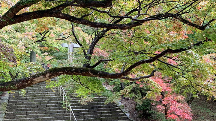 竈門神社-1