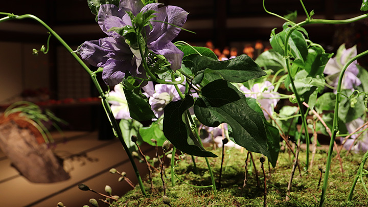 THE FLOWER BOX EXHIBITION IN DAZAIFU-11