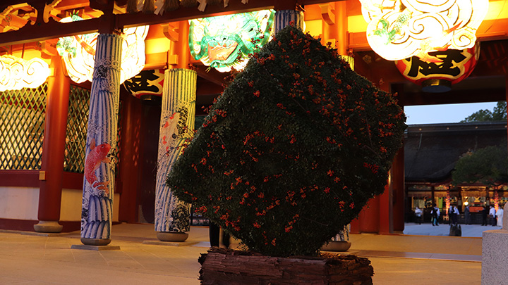 THE FLOWER BOX EXHIBITION IN DAZAIFU-2