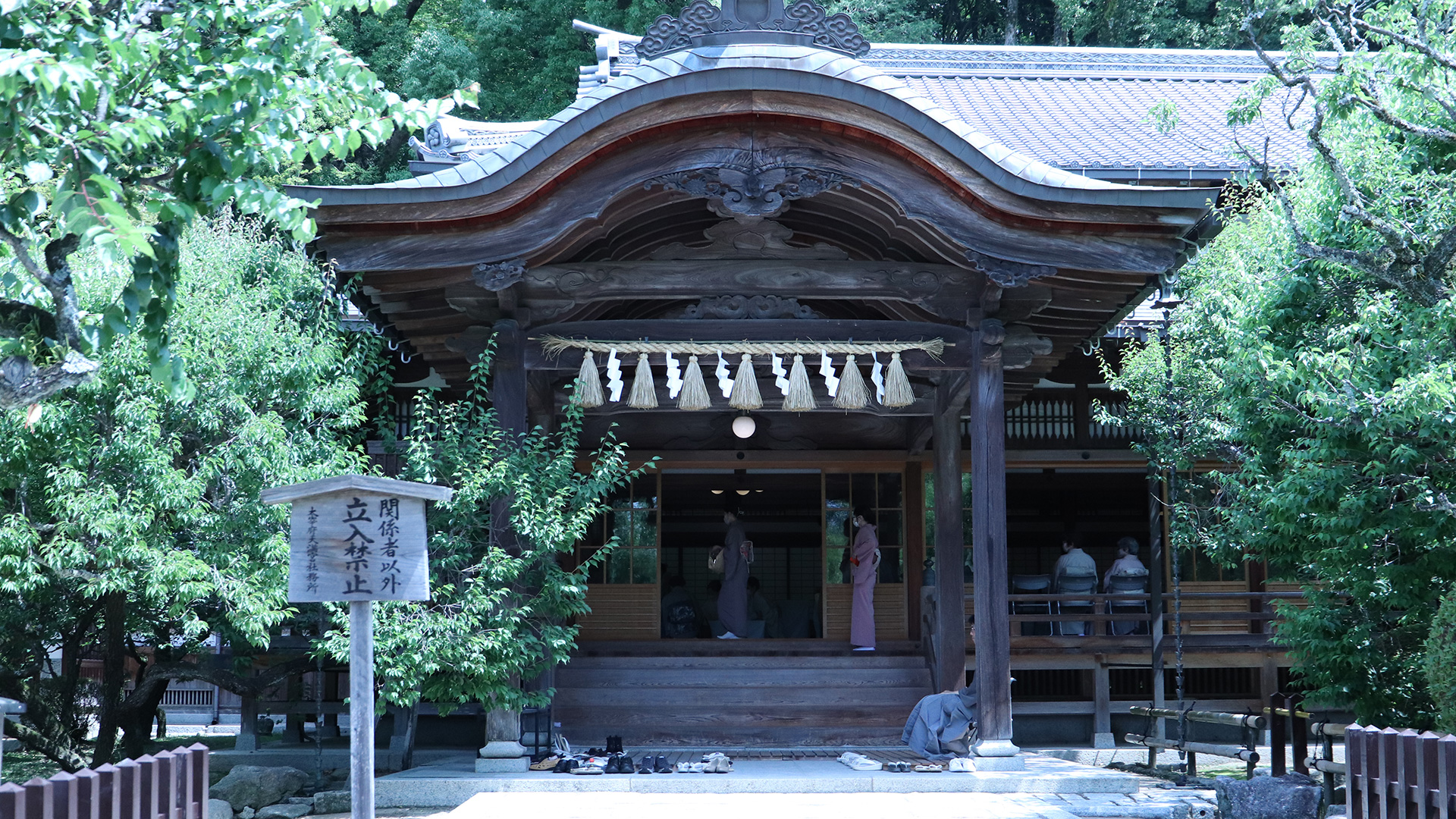 Early Summer Tea Ceremony