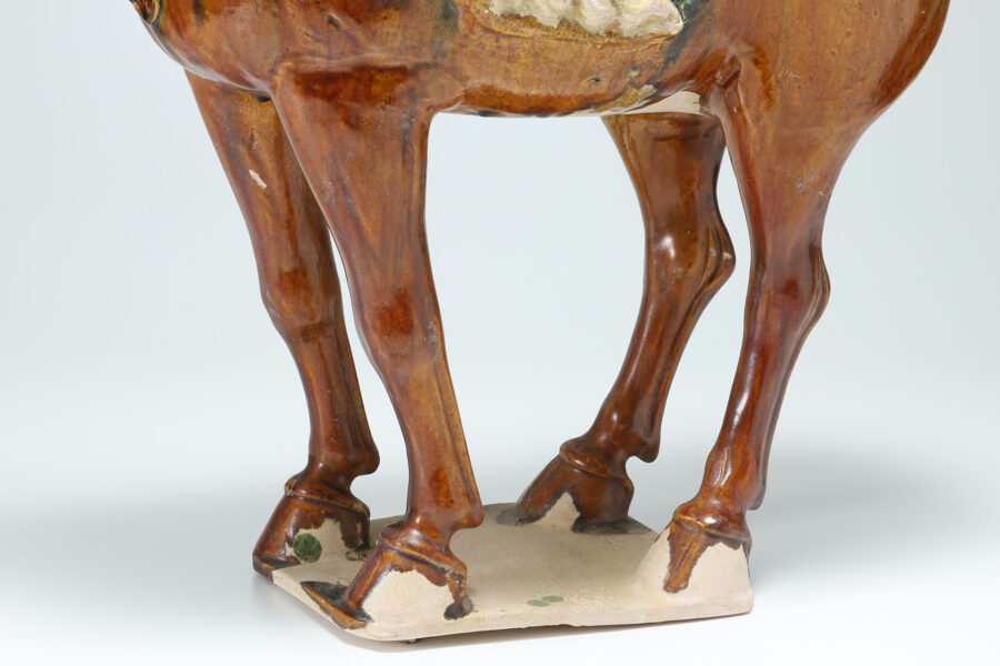 Tang-Sancai Horse（Tang Dynasty）-19