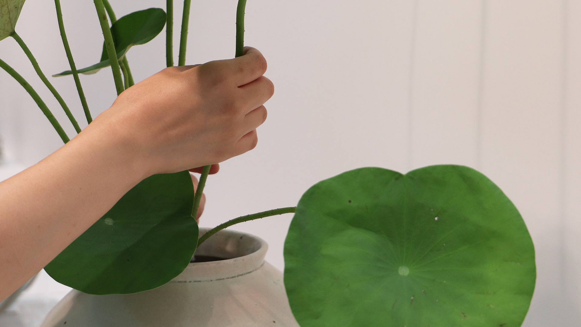 李朝白磁壺に-3