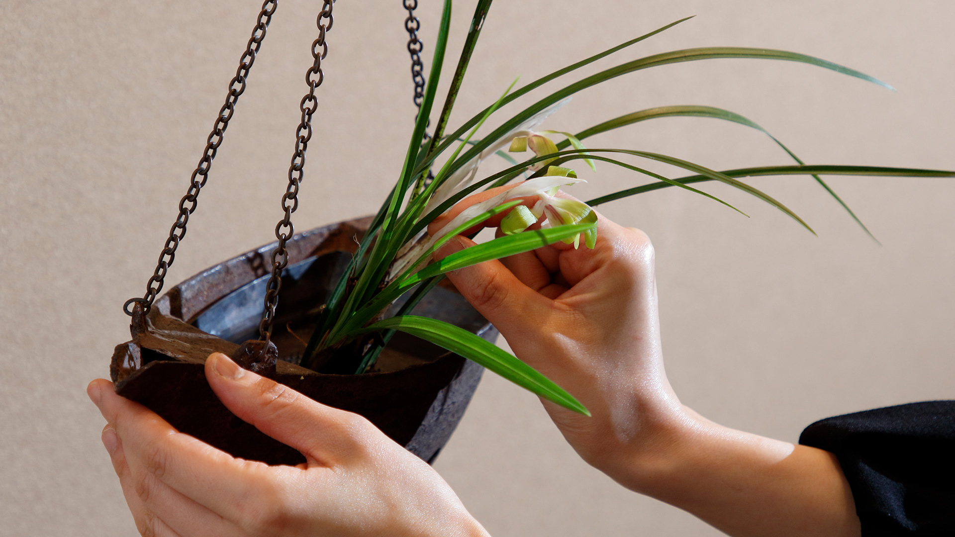 With the Iron Boat shaped Hanging Flower Holder by Shiho Yokokawa-2
