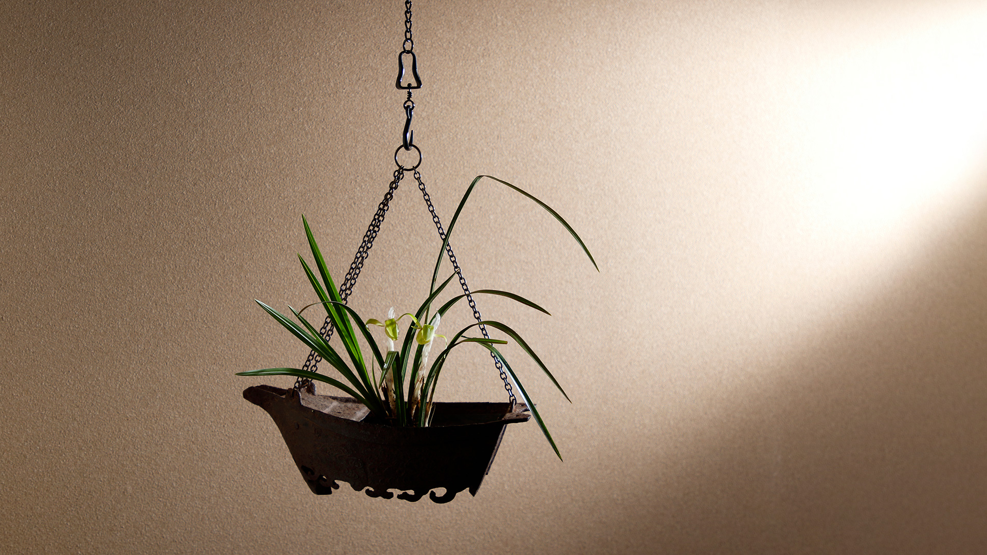 With the Iron Boat shaped Hanging Flower Holder