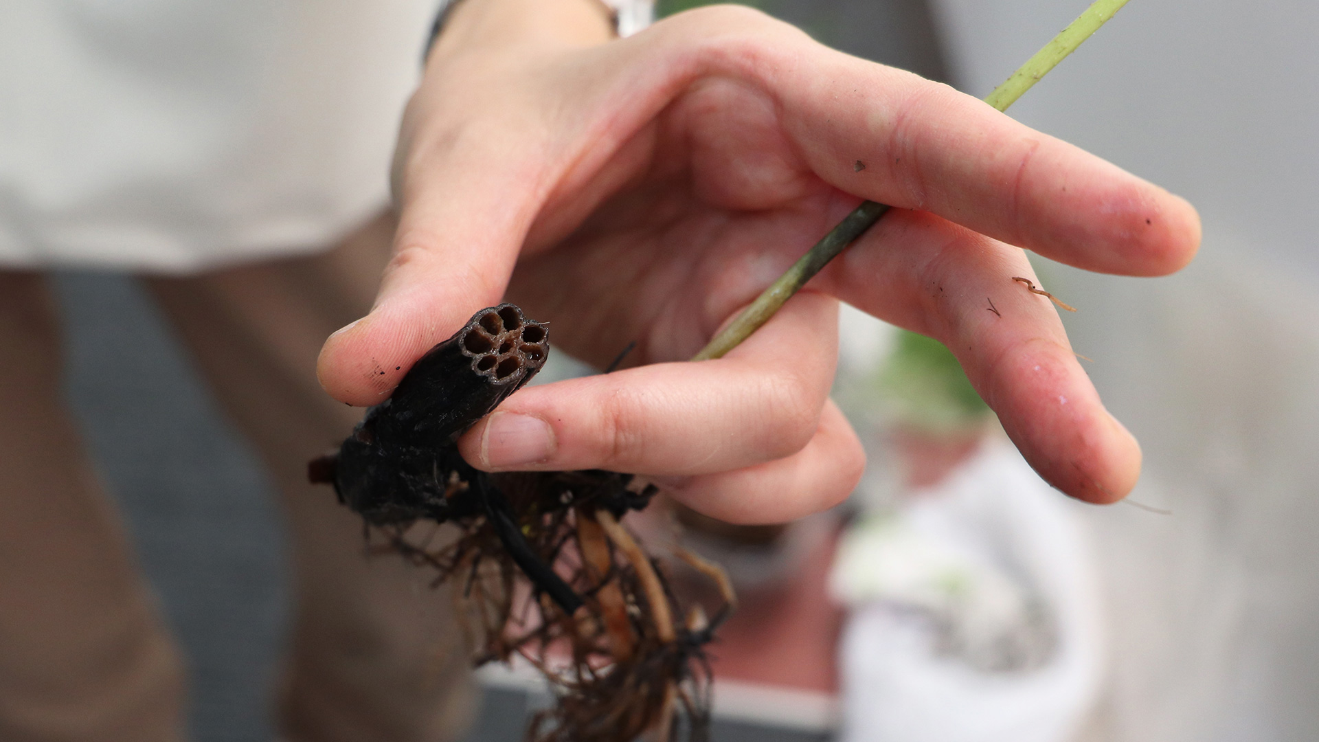 With the White Porcelain Jar by Shiho Yokokawa-2