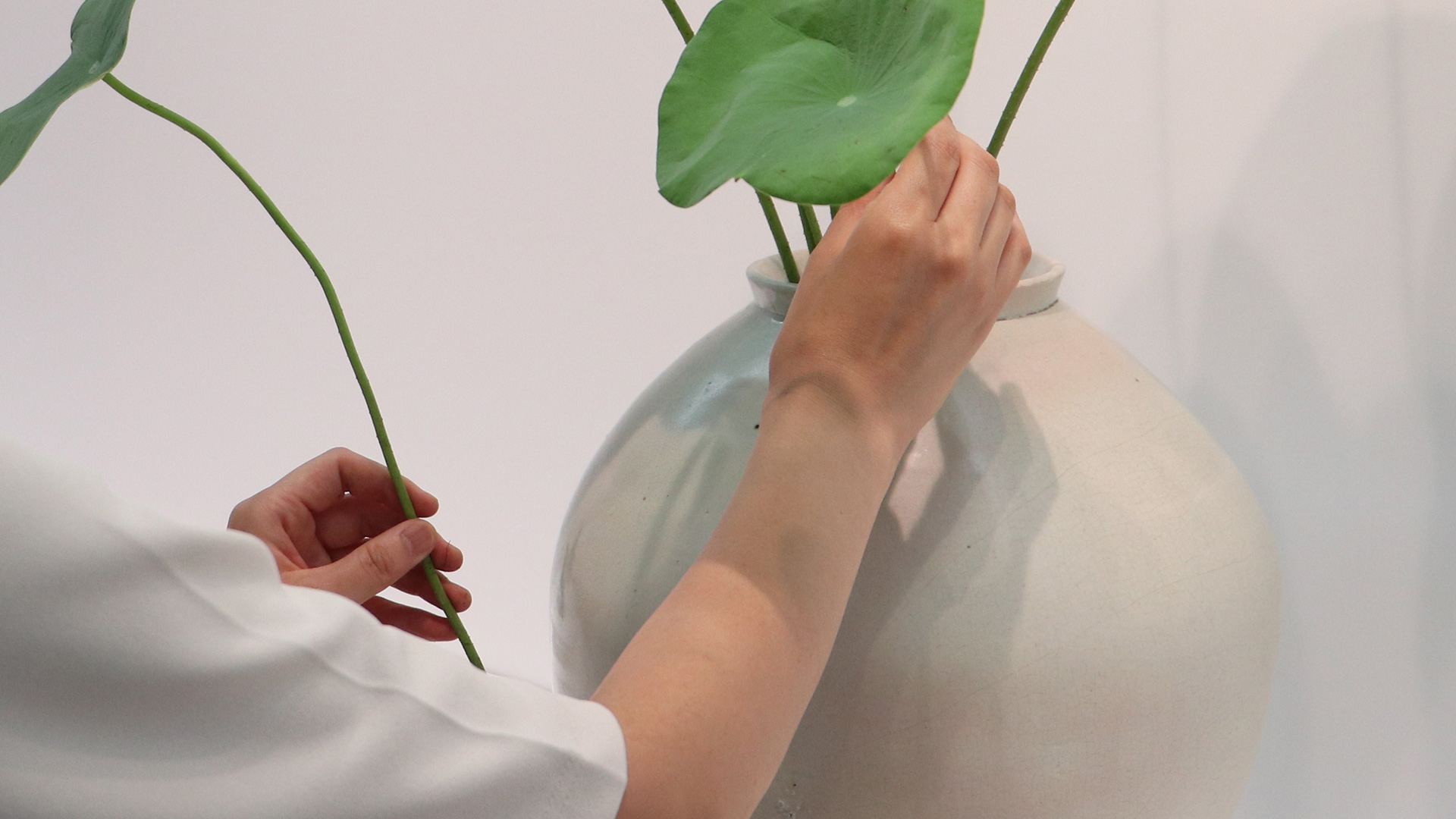 With the White Porcelain Jar by Shiho Yokokawa-4