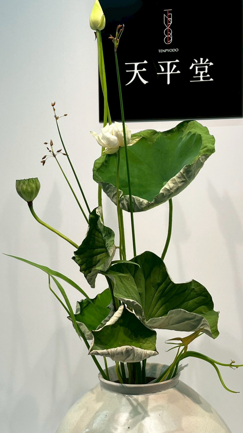 With the White Porcelain Jar by Shiho Yokokawa-6