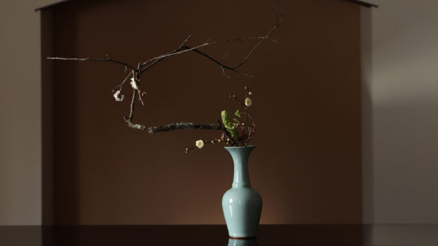 太宰府天満宮様の梅を以て