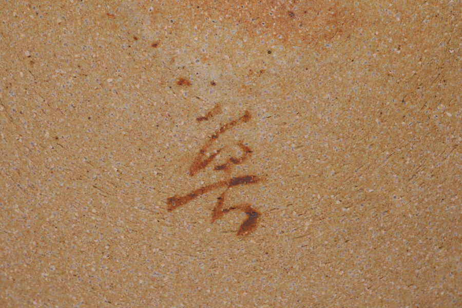 この葉平向(五客揃 / 北大路魯山人)-8