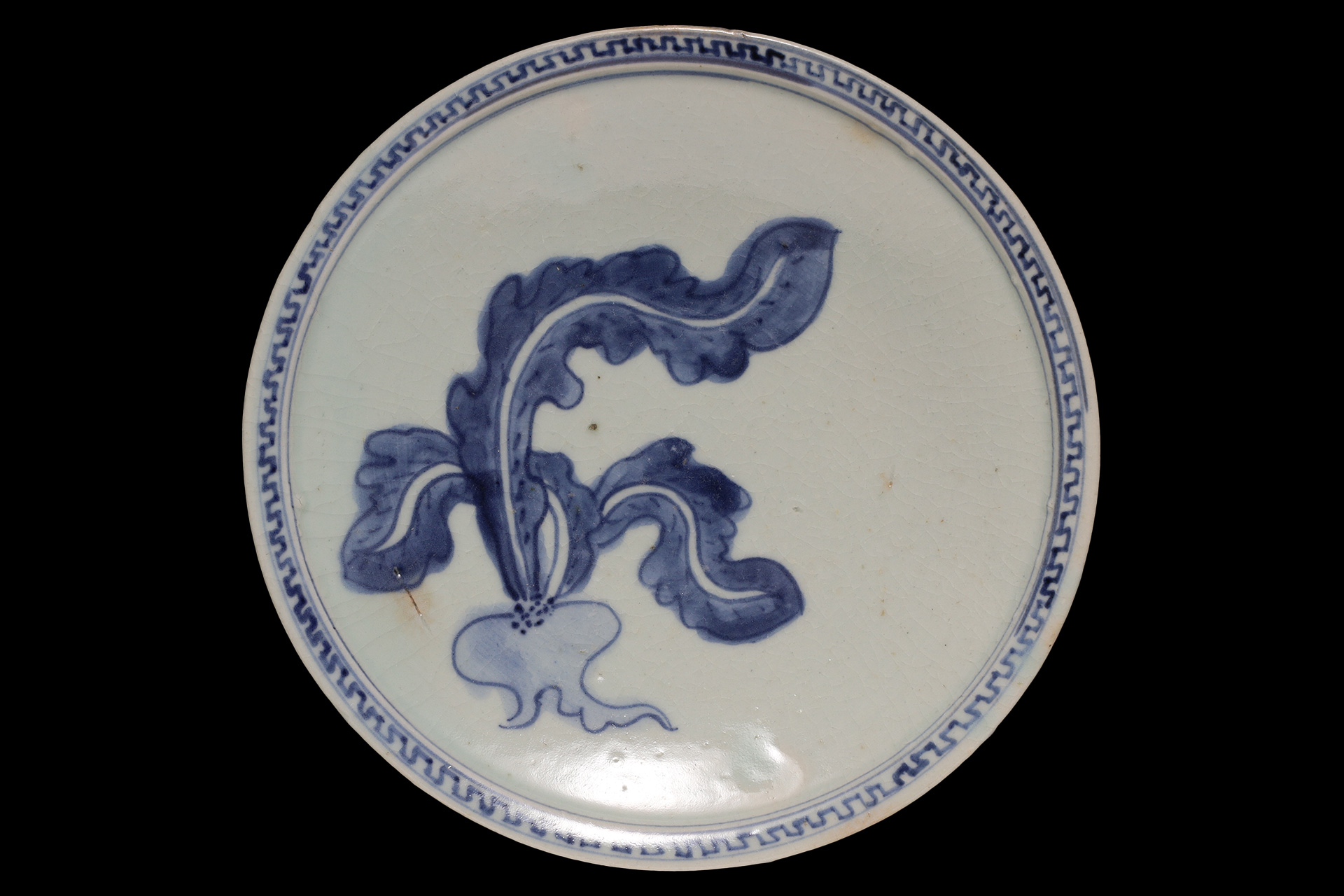 初期伊万里染付蕪文皿（江戸時代）-1